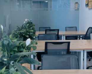 z6993167019353_4207fe6e75a2ceb0542a01352d719eea