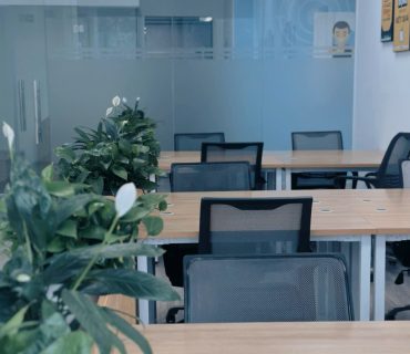 z6993167019353_4207fe6e75a2ceb0542a01352d719eea